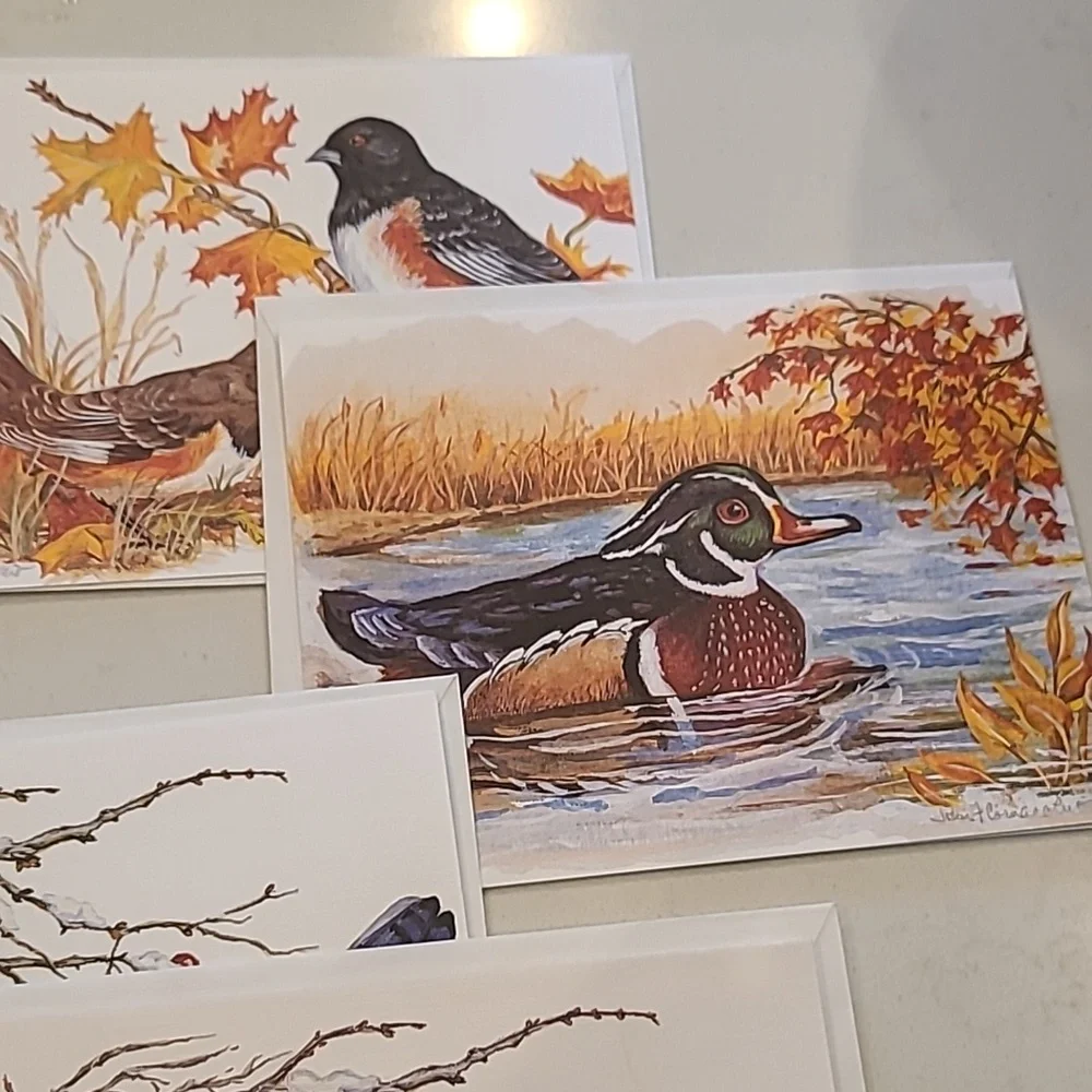 bird nature greeting cards new original